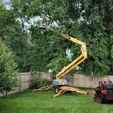 Artificial Turf Installation in Sikeston, MO